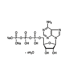 アデノシンリン酸二ナトリウム