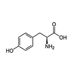 チロシン（アミノ酸）